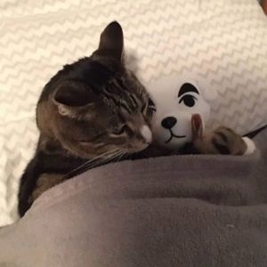 Meet your Posher, Leslie